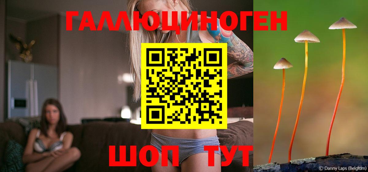 Псилоцибиновые грибы ЛСД  Вход с VPN  Алейск  наркотики  Псилоцибиновые грибы GOLDEN TEACHER 